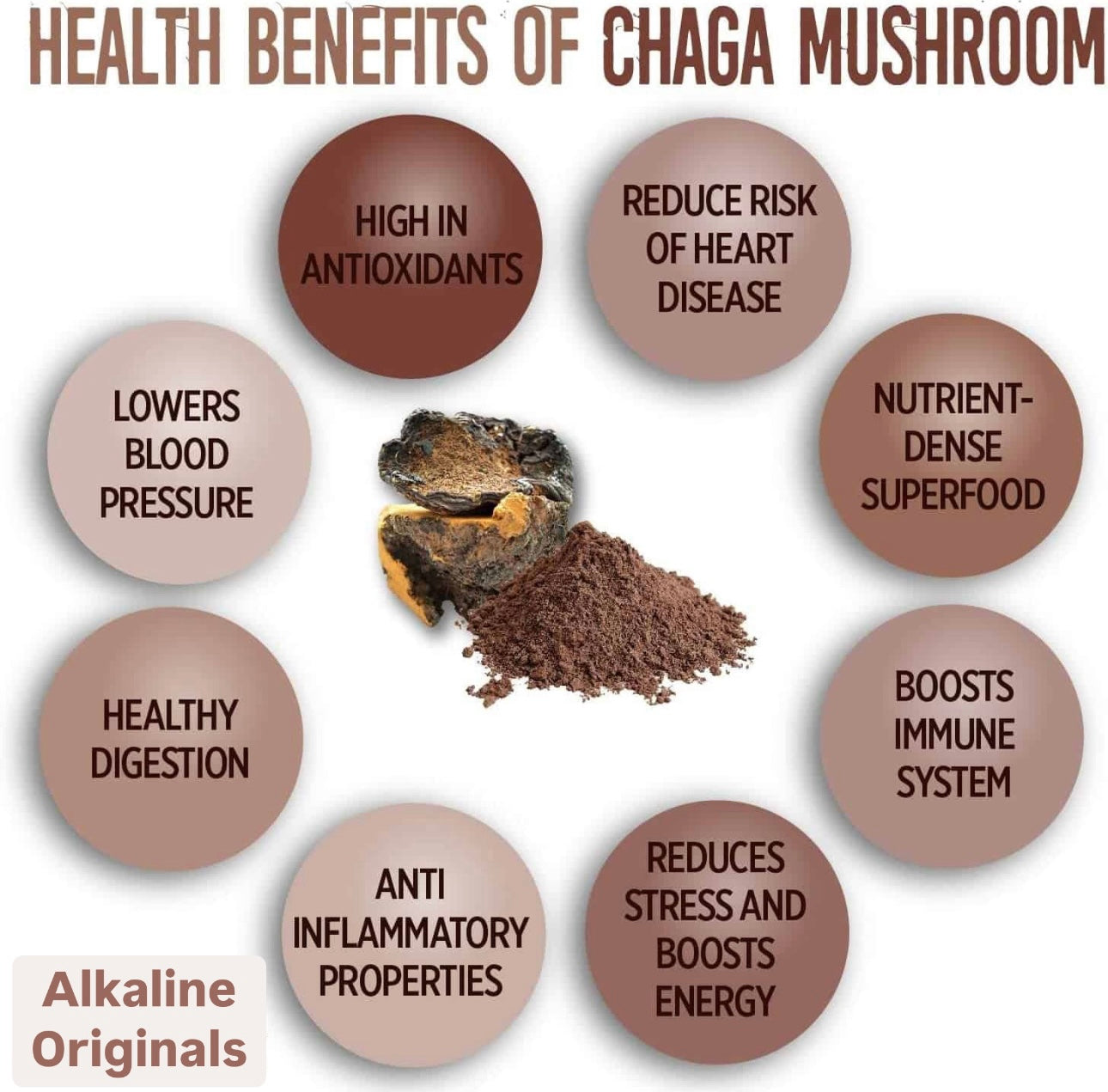 🧬 MINNESOTAN CHAGA- Wildcrafted Alkaline DNA Repair 3 oz | MAKES 90-250 OUNCES OF TEA!