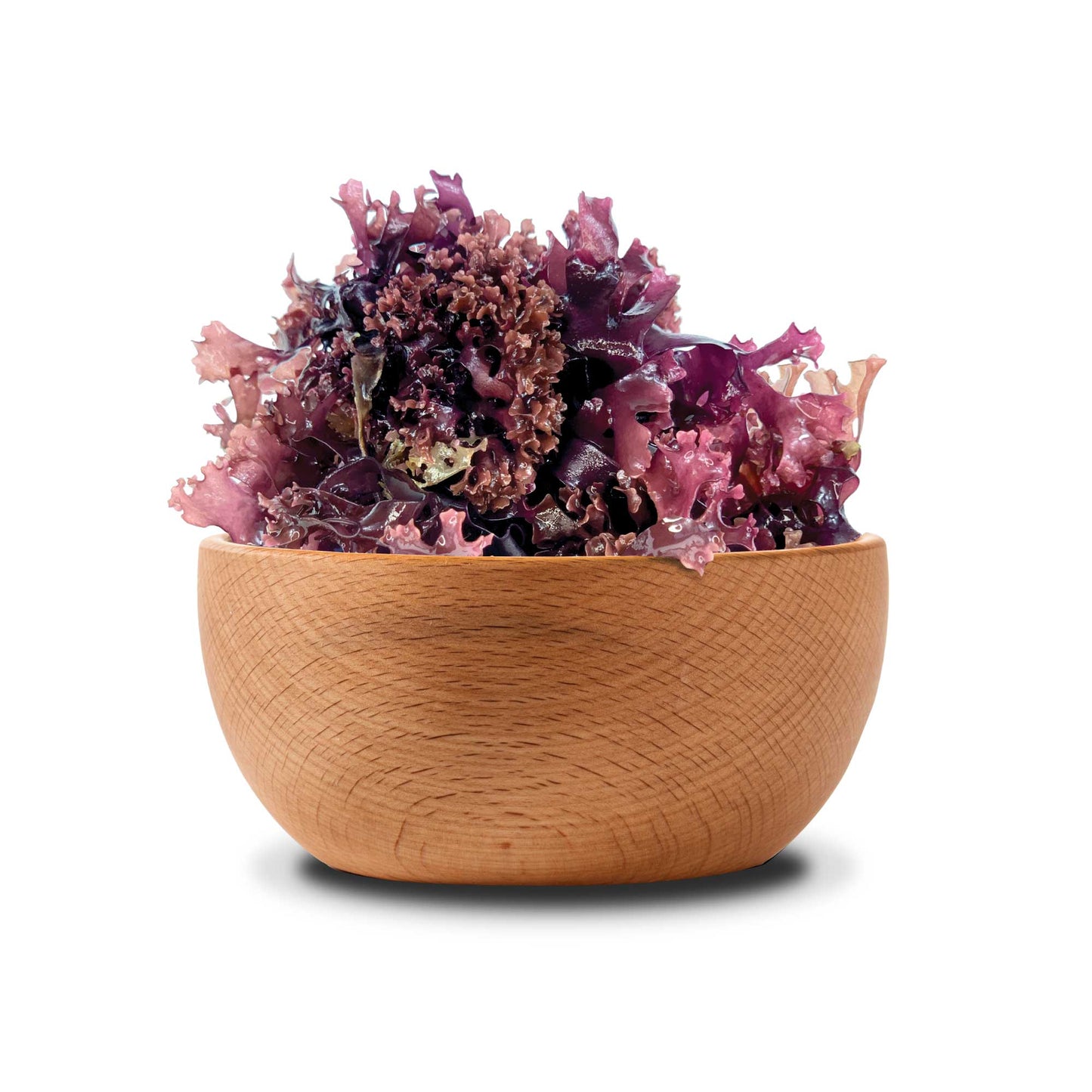 π WILD IRISH MOSS - Raw Chondrus Crispus Sea Moss | MAKES 24-84 OUNCES OF GEL!